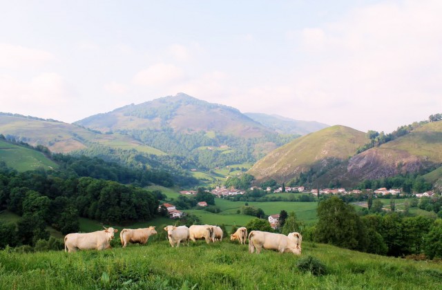 ferme-auzkia