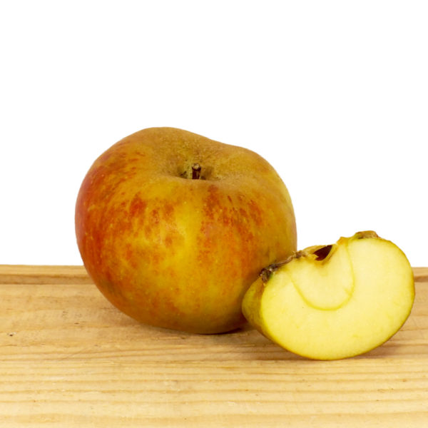 Pomme Belle de Boskoop